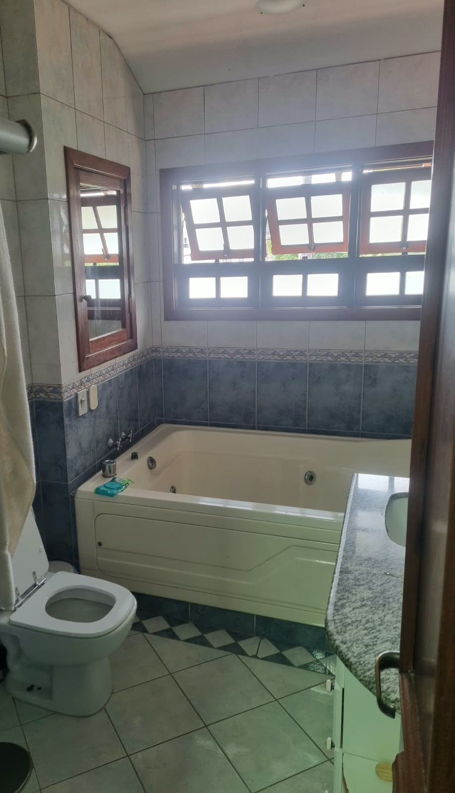 Casa, 5 quartos, 401 m² - Foto 13