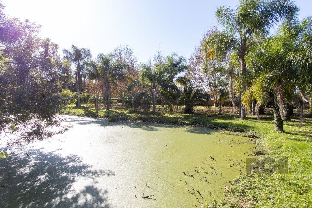 Chácara, 2 quartos, 3060 m² - Foto 8