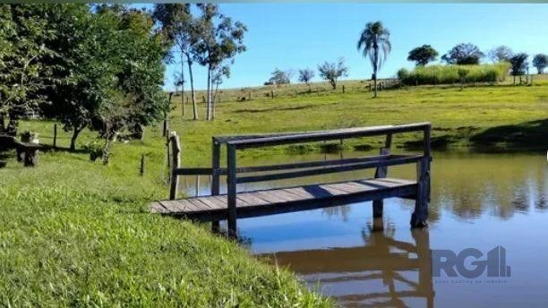 Sítio, 3 quartos, 3800 m² - Foto 7