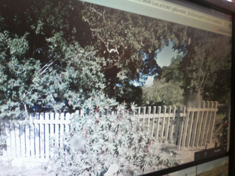 Terreno, 3 hectares - Foto 5