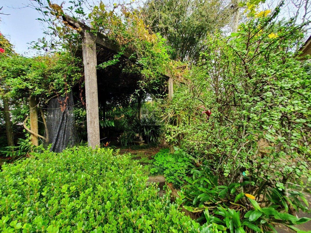 Terreno, 5332 m² - Foto 3