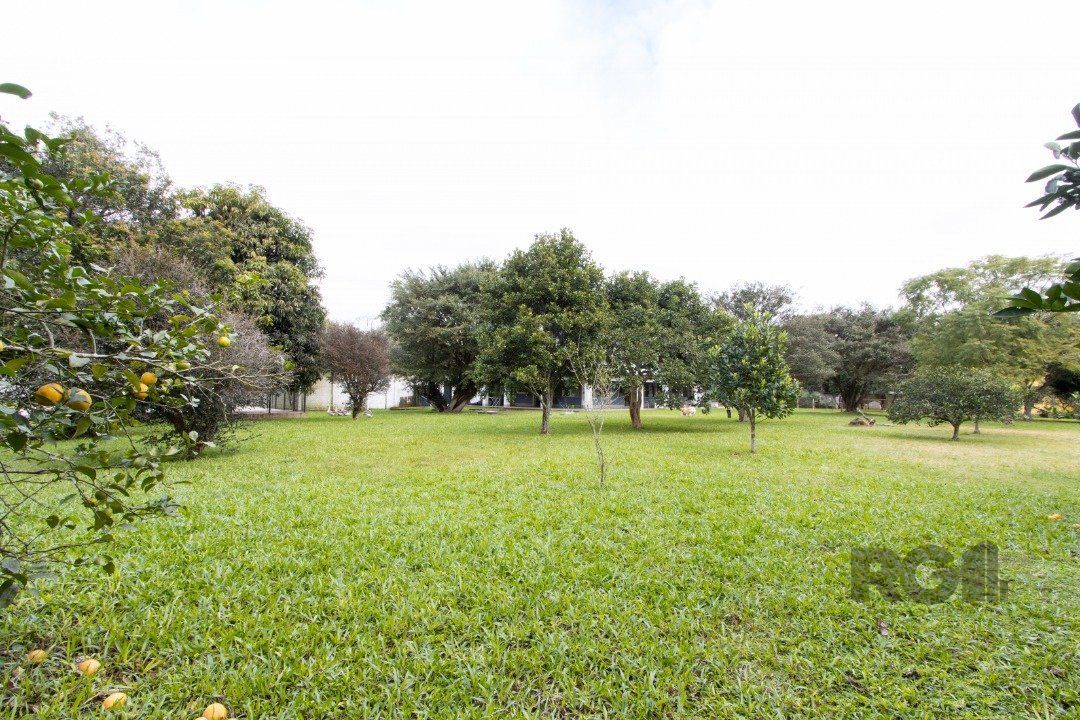 Sítio à venda com 3 quartos, 350m² - Foto 15