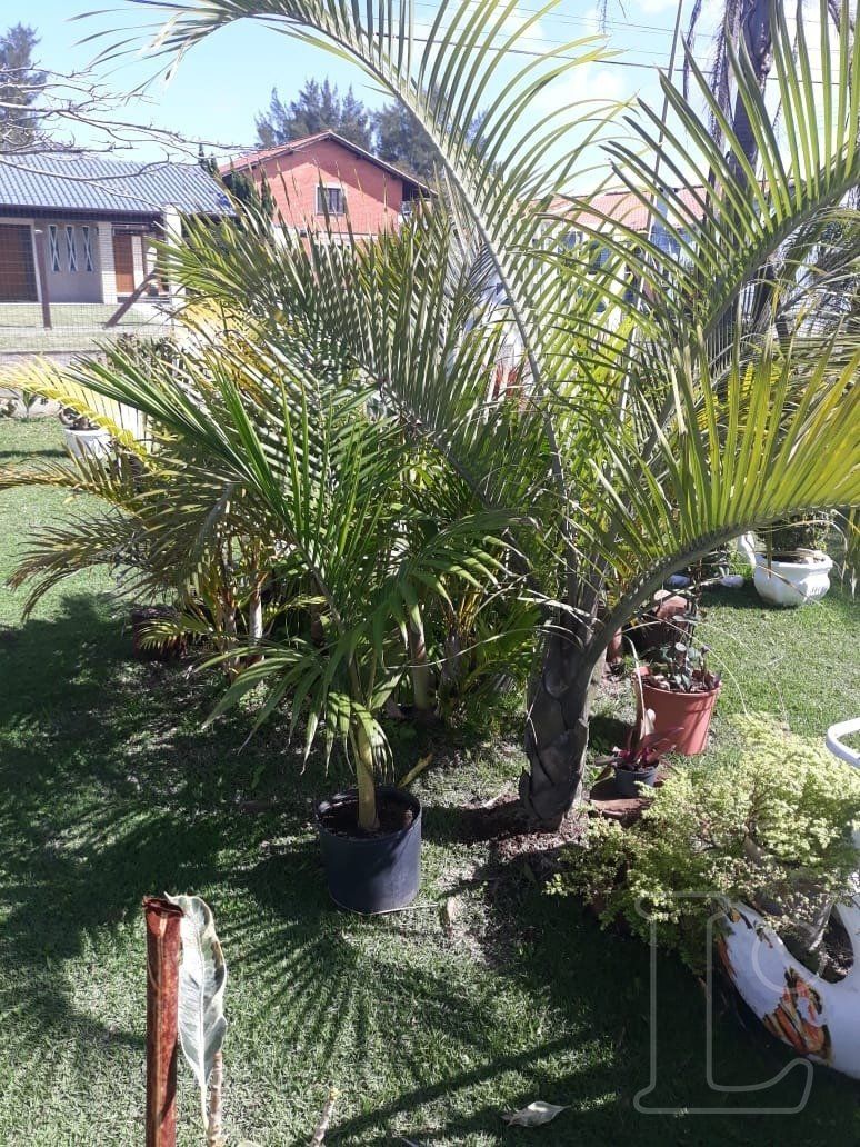 Casa, 2 quartos, 114 m² - Foto 8