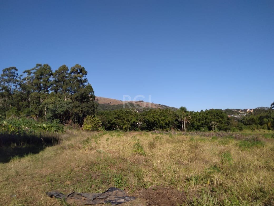 Terreno, 4 hectares - Foto 9