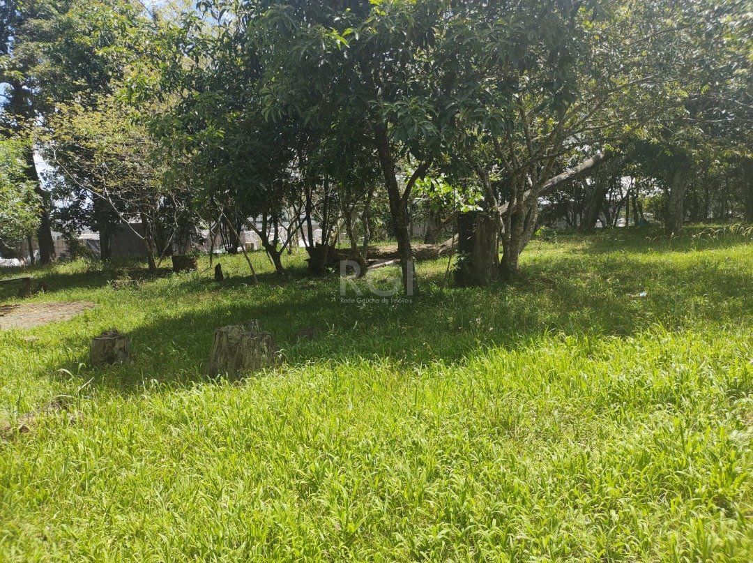 Depósito-Galpão, 1808 m² - Foto 8