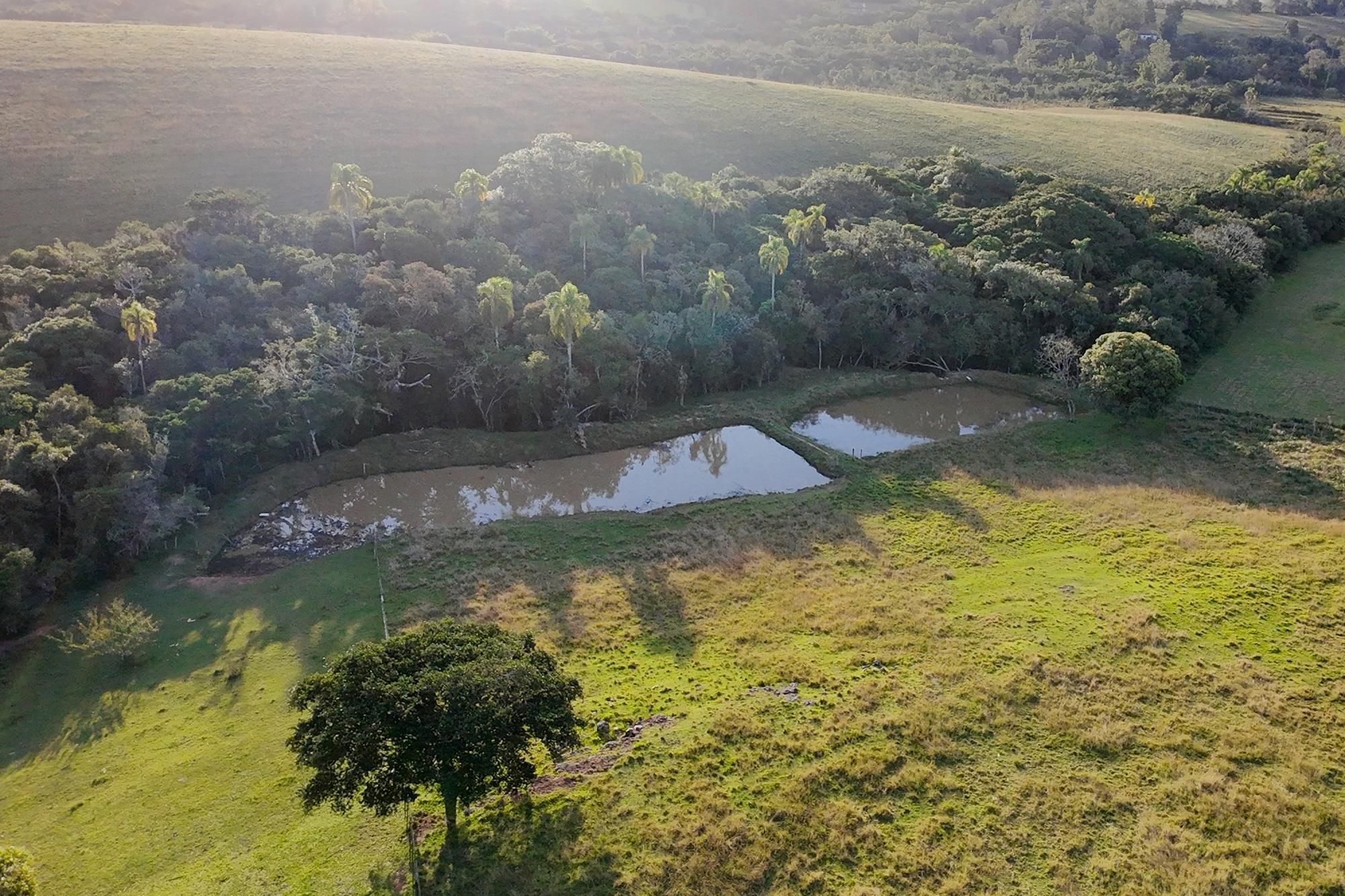 Sítio, 3 quartos, 8 hectares - Foto 59