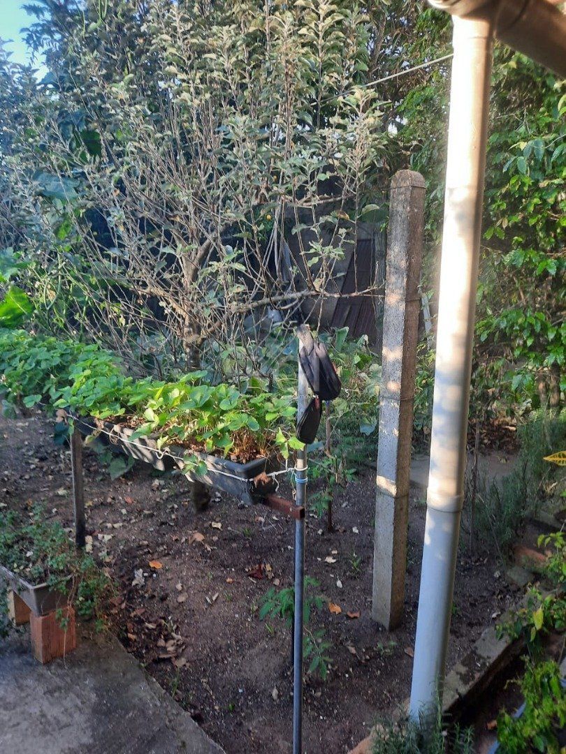 Casa, 4 quartos, 180 m² - Foto 36