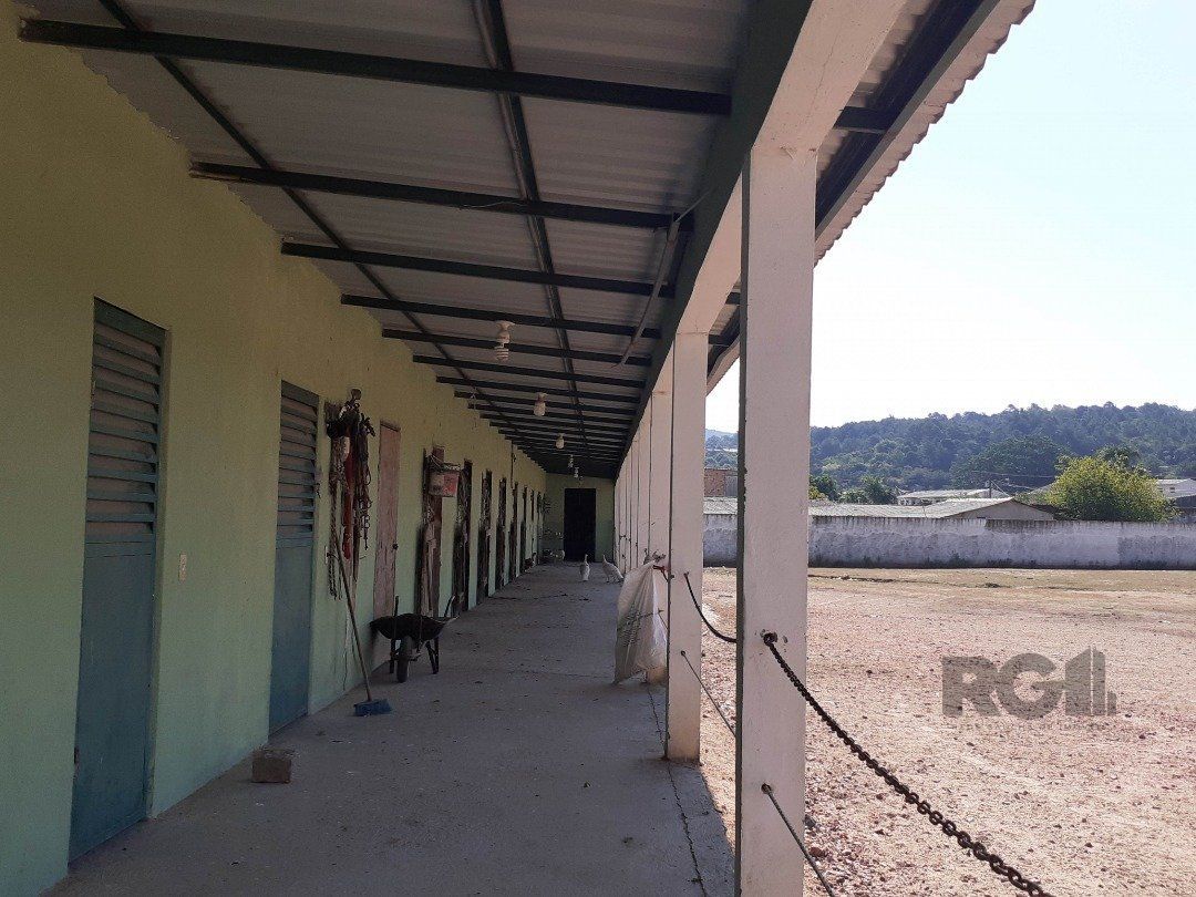 Sítio à venda com 2 quartos, 10000m² - Foto 17