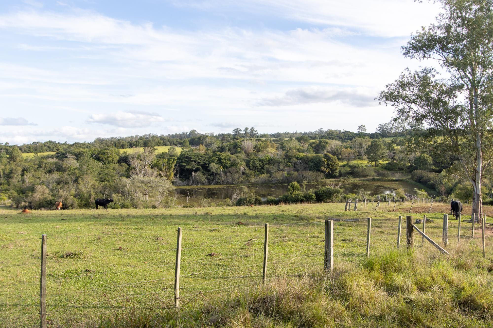 Sítio, 3 quartos, 8 hectares - Foto 64