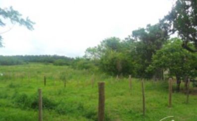 Terreno, 5 hectares - Foto 10