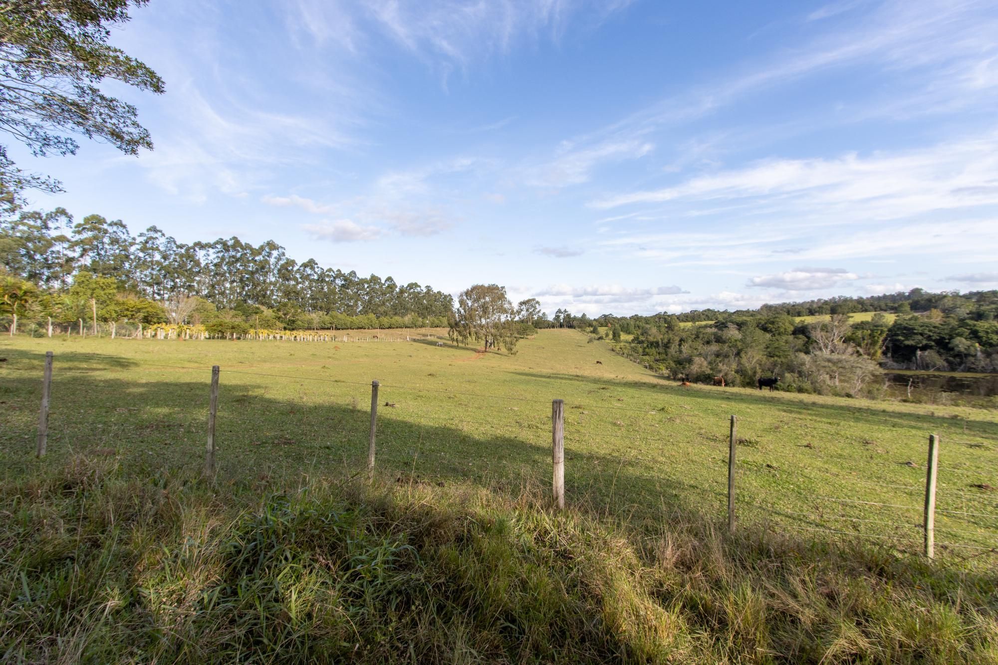 Sítio, 3 quartos, 8 hectares - Foto 65