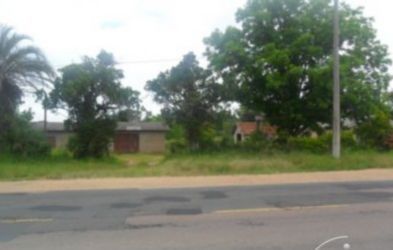 Terreno, 5 hectares - Foto 4