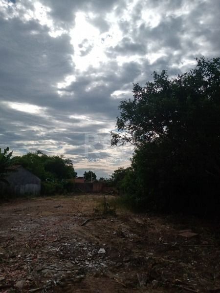 Terreno, 2394 m² - Foto 5