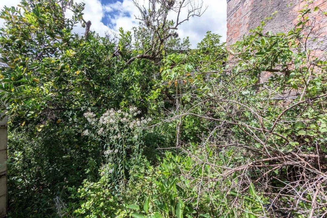 Casa, 2 quartos, 118 m² - Foto 33