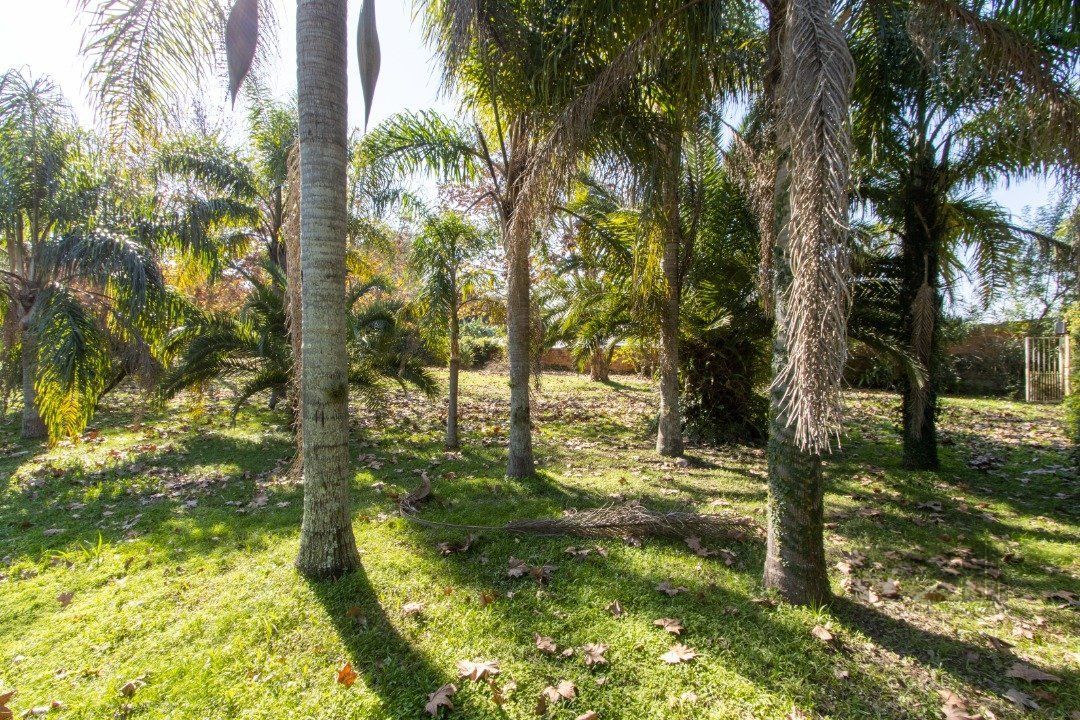 Chácara, 2 quartos, 3060 m² - Foto 6