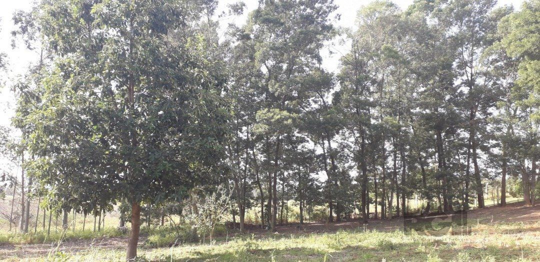 Casa, 4 quartos, 300 m² - Foto 41