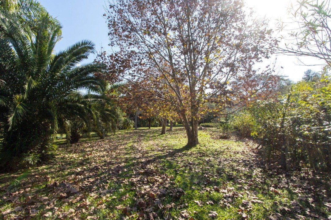 Chácara, 2 quartos, 3060 m² - Foto 5