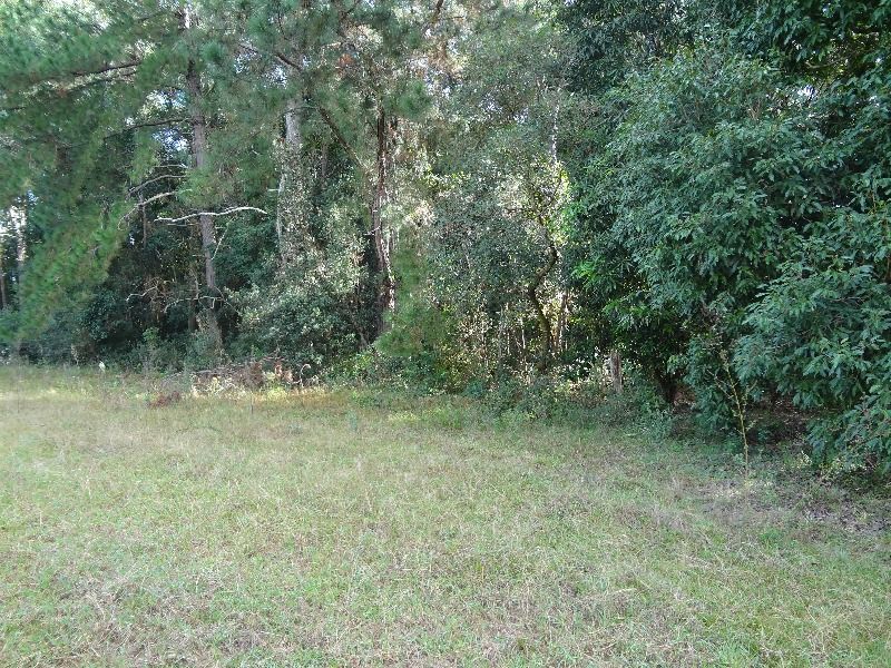 Terreno à venda, 145000m² - Foto 4