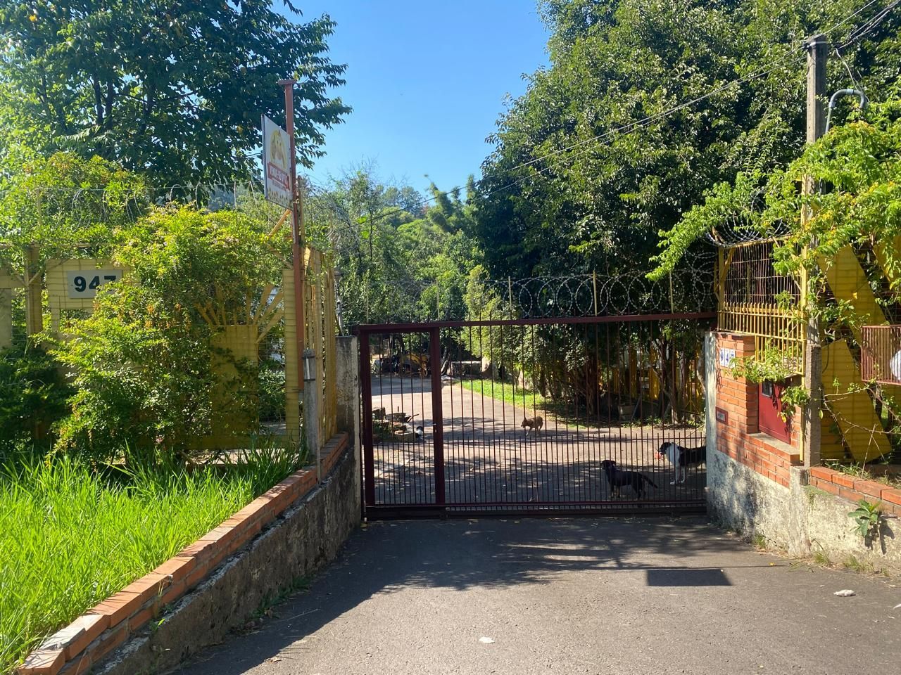 Casa, 3 quartos, 243 m² - Foto 31