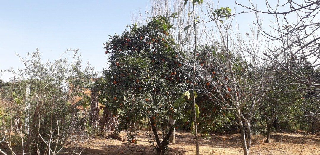 Casa, 4 quartos, 300 m² - Foto 42