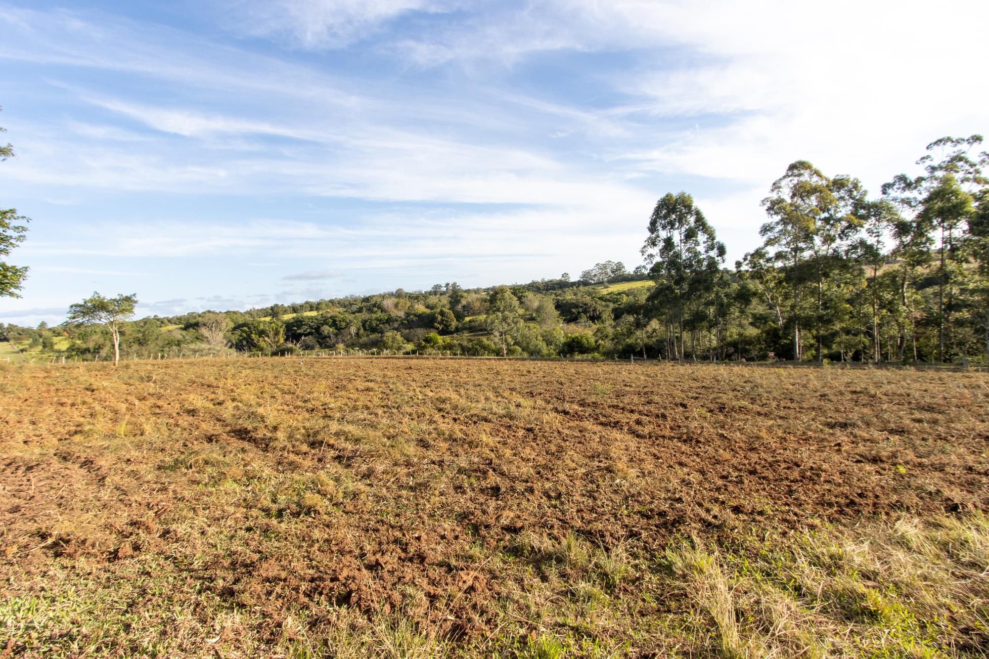 Sítio, 3 quartos, 8 hectares - Foto 68