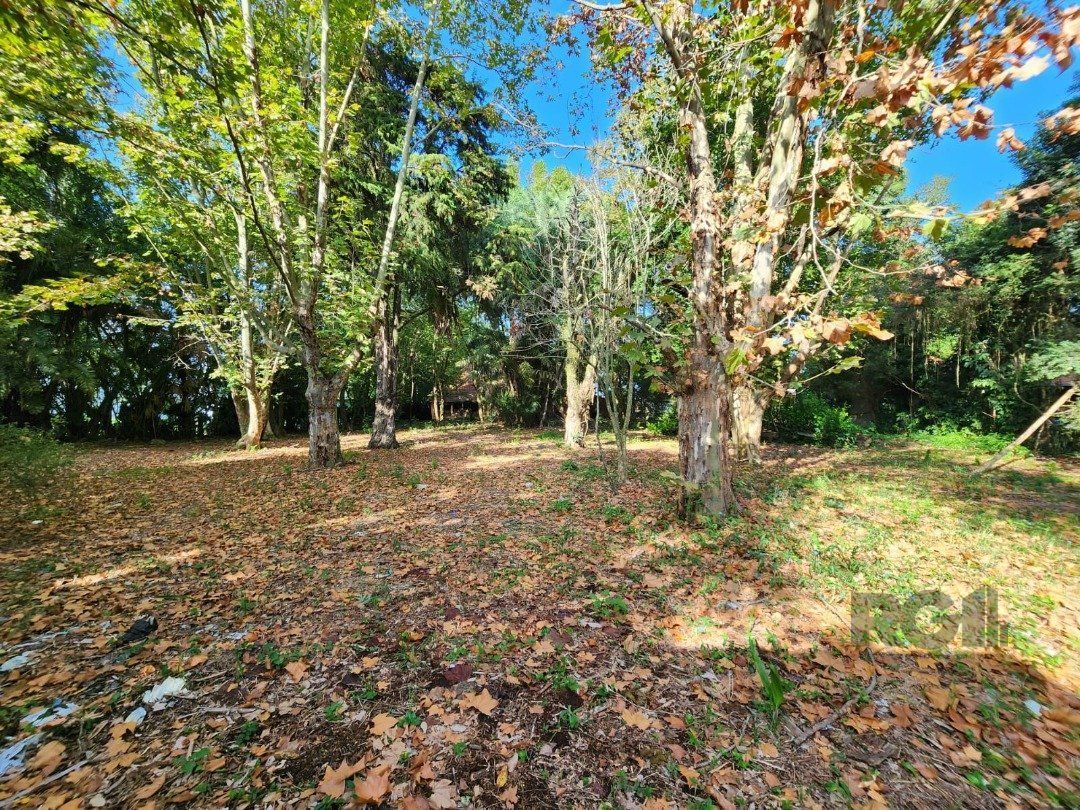 Terreno, 5322 m² - Foto 5