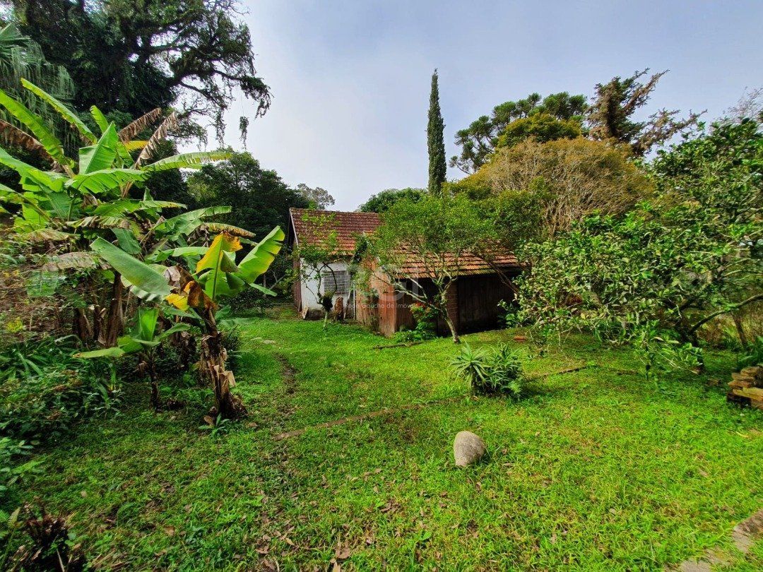 Terreno à venda, 5333m² - Foto 7