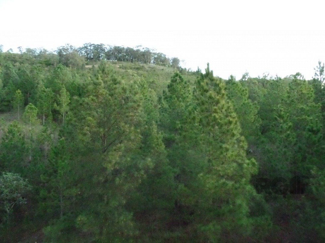 Apartamento, 2 quartos, 62 m² - Foto 18