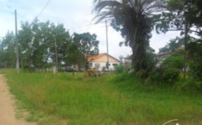 Terreno, 5 hectares - Foto 8