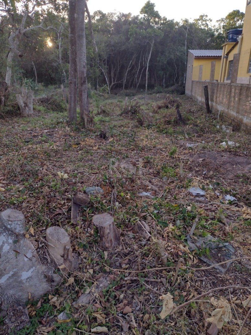 Terreno à venda, 300m² - Foto 5