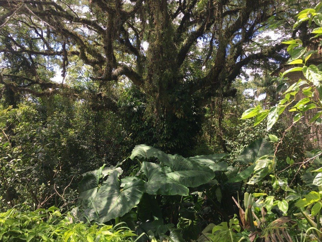 Terreno, 671 m² - Foto 5