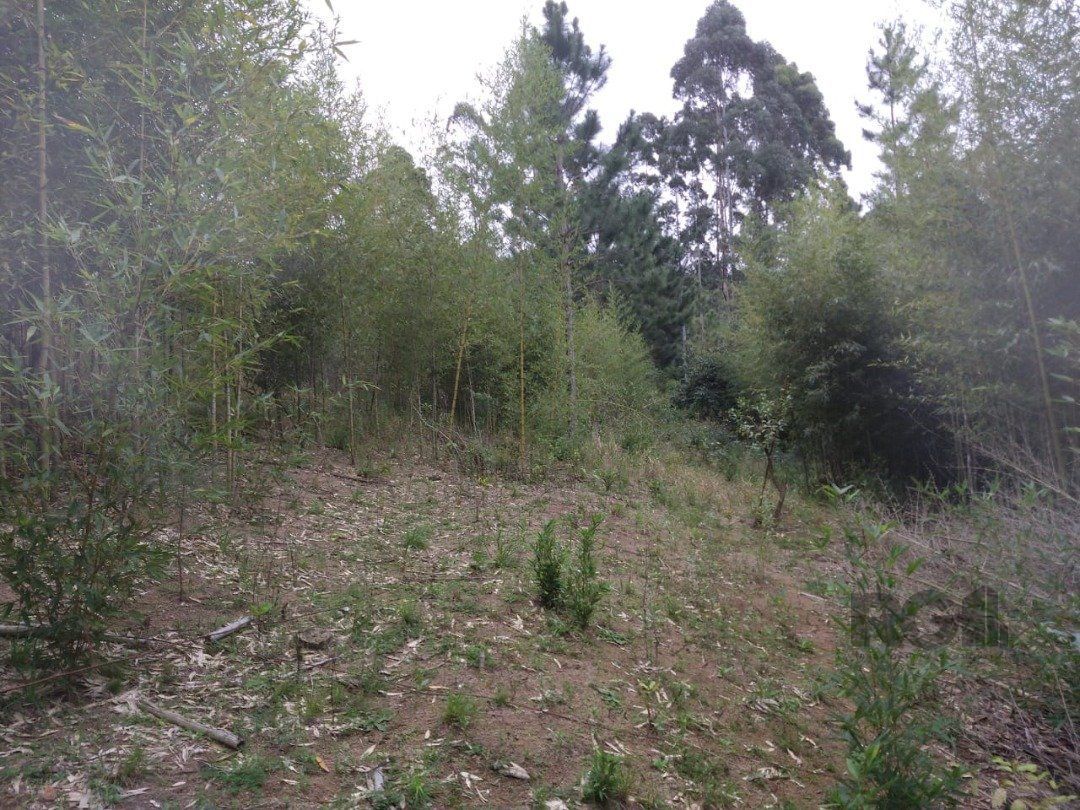 Terreno à venda, 46960m² - Foto 9
