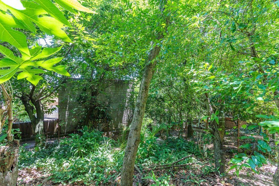 Casa, 4 quartos, 389 m² - Foto 9