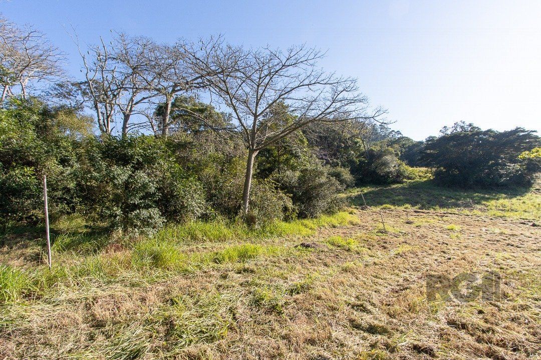 Terreno à venda, 96750m² - Foto 32