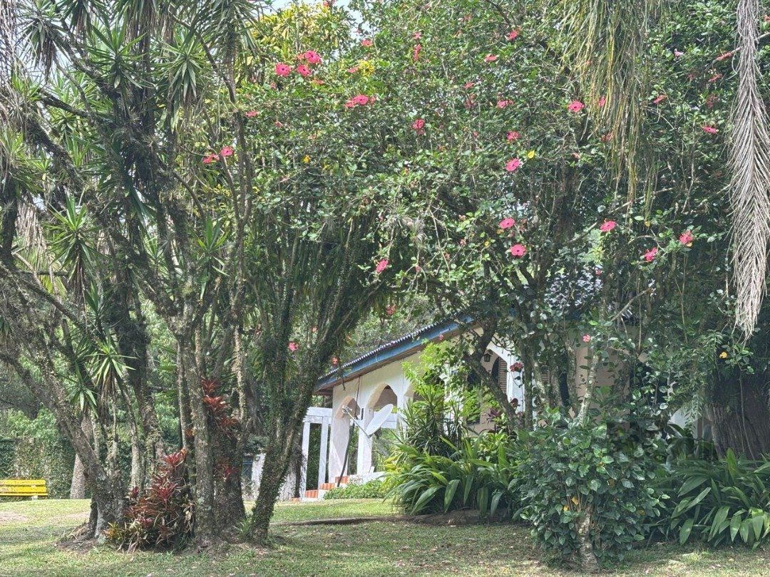 Sítio à venda com 5 quartos, 201m² - Foto 13