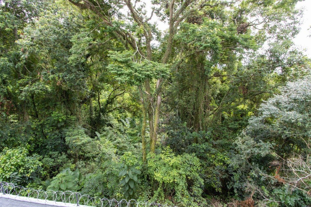 Casa, 3 quartos, 260 m² - Foto 8