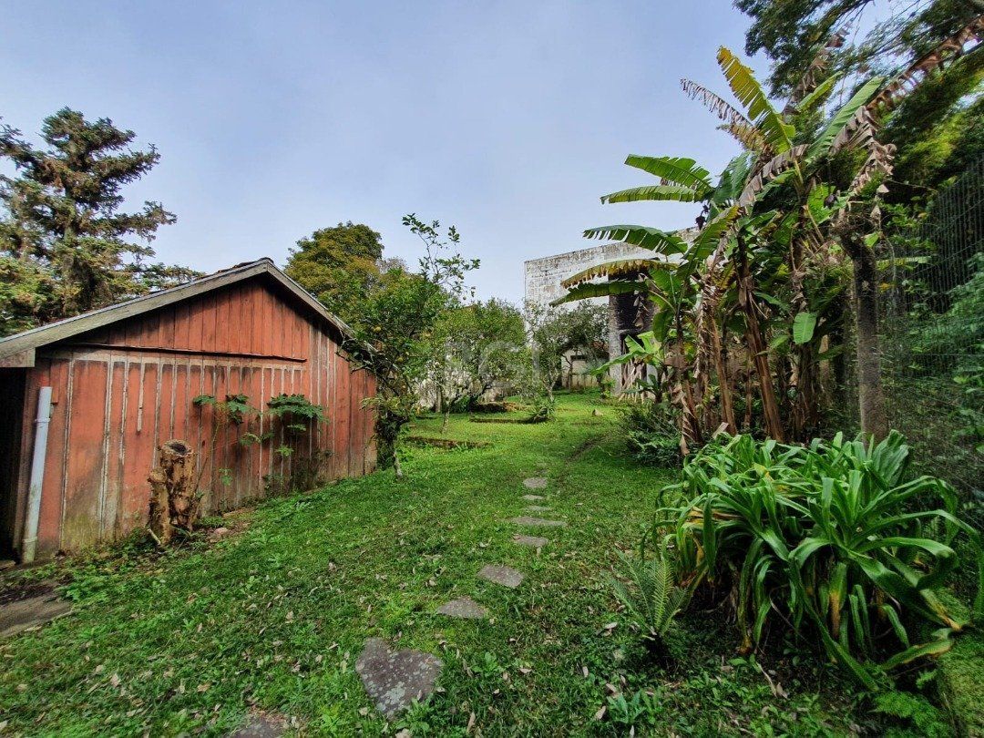 Terreno, 5332 m² - Foto 2