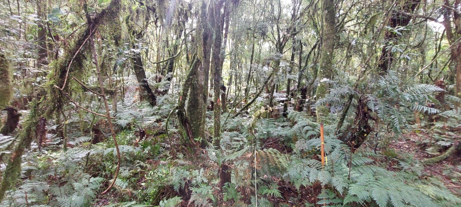 Terreno à venda, 599m² - Foto 9