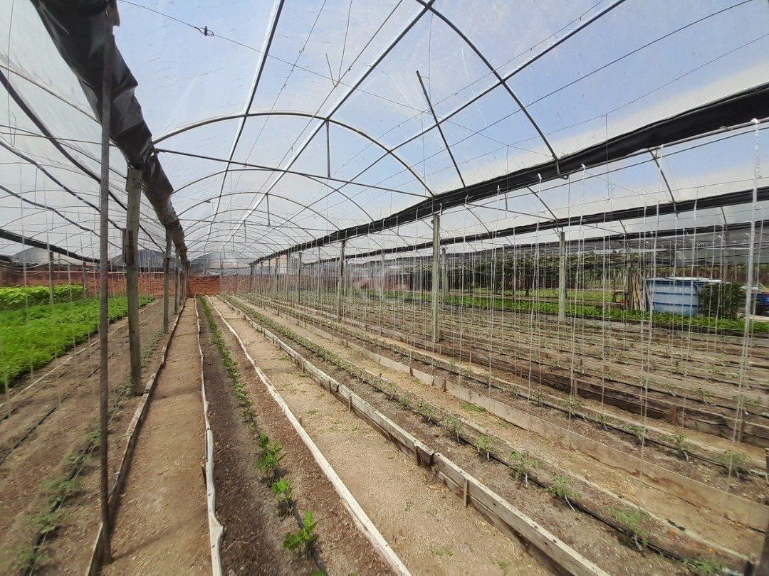 Terreno, 6629 m² - Foto 20