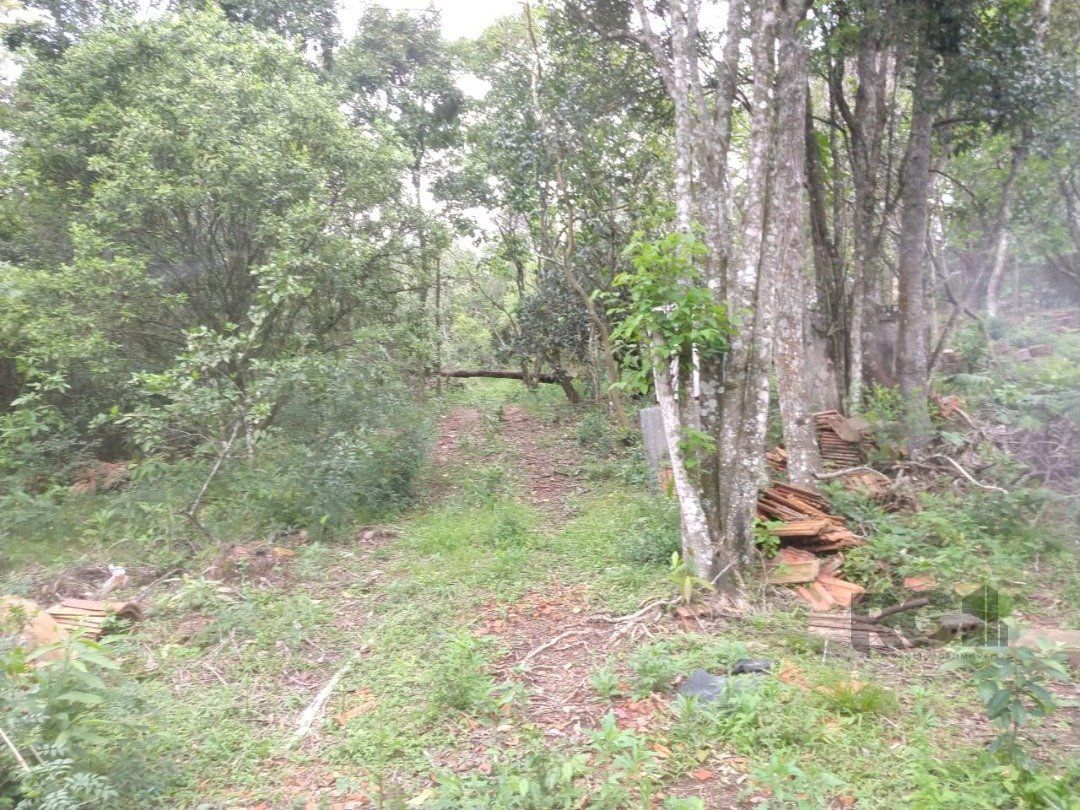 Terreno à venda, 46960m² - Foto 11