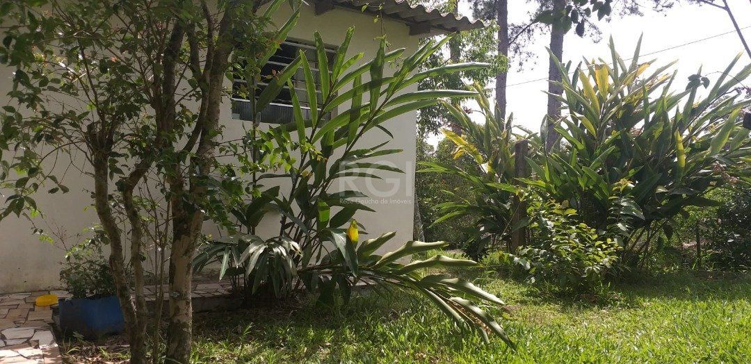 Casa à venda com 4 quartos, 121m² - Foto 6