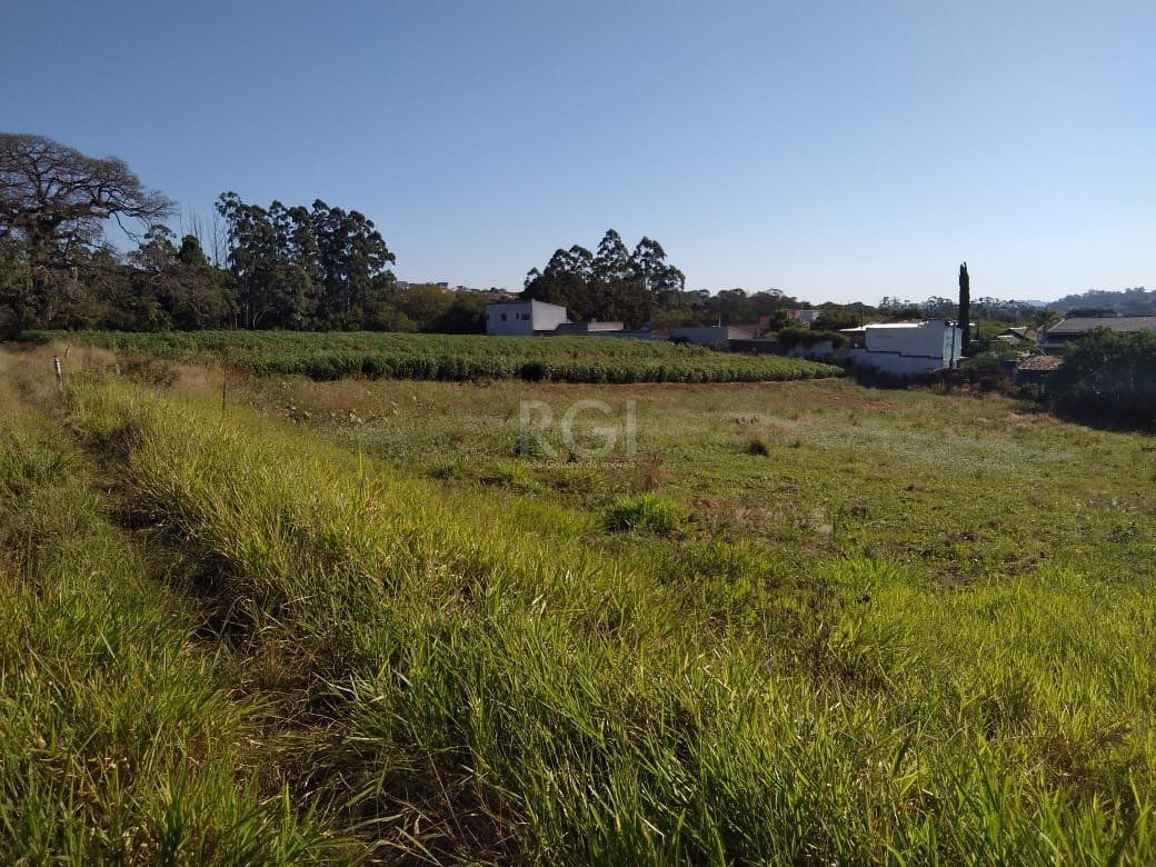 Terreno, 4 hectares - Foto 2