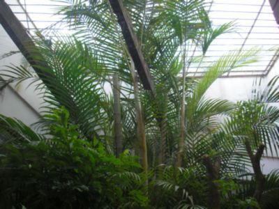 Casa, 3 quartos, 422 m² - Foto 21