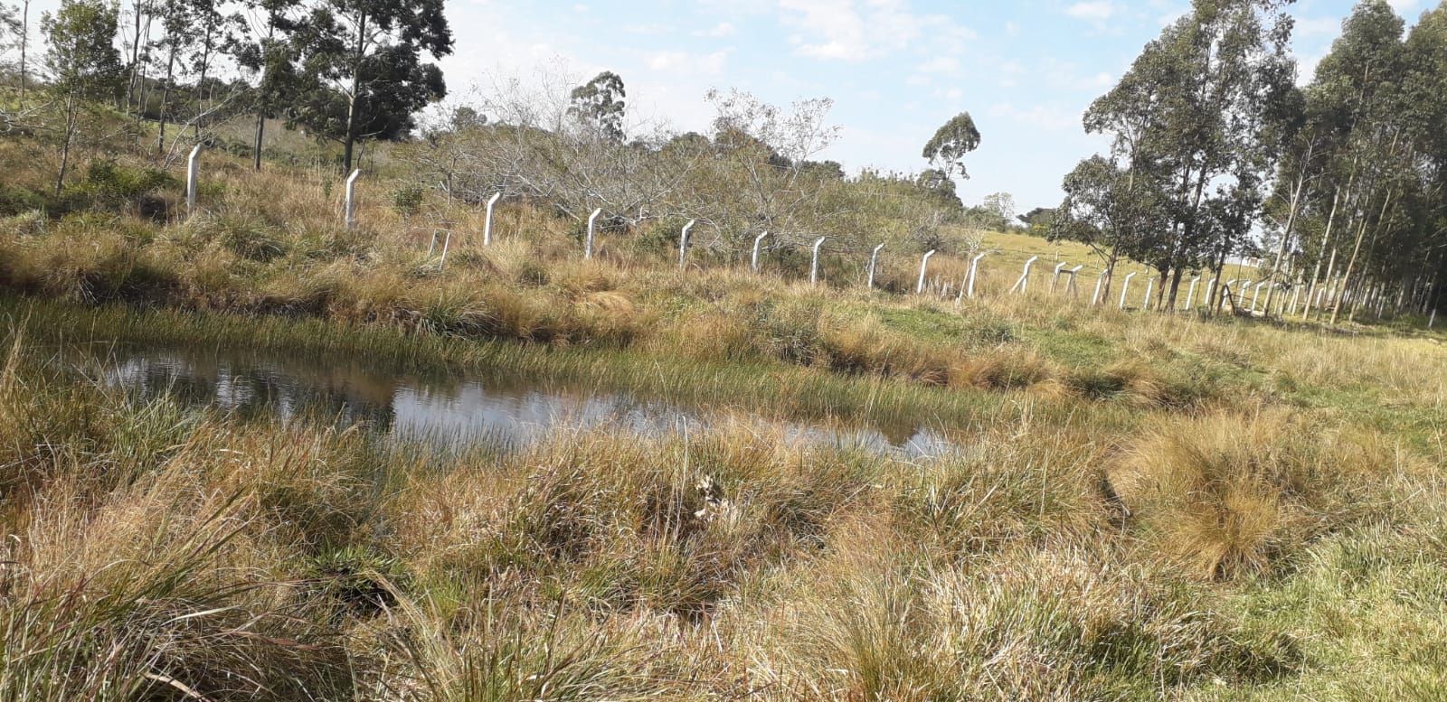 Casa, 4 quartos, 300 m² - Foto 43