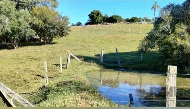 Sítio, 3 quartos, 3800 m² - Foto 11