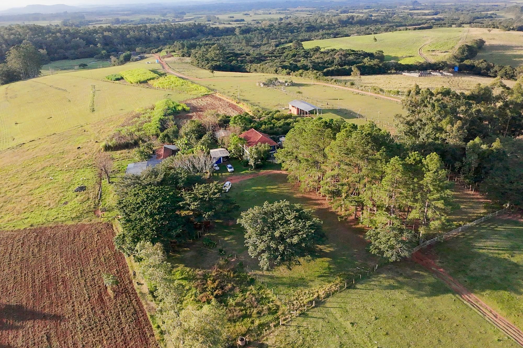 Sítio, 3 quartos, 8 hectares - Foto 5