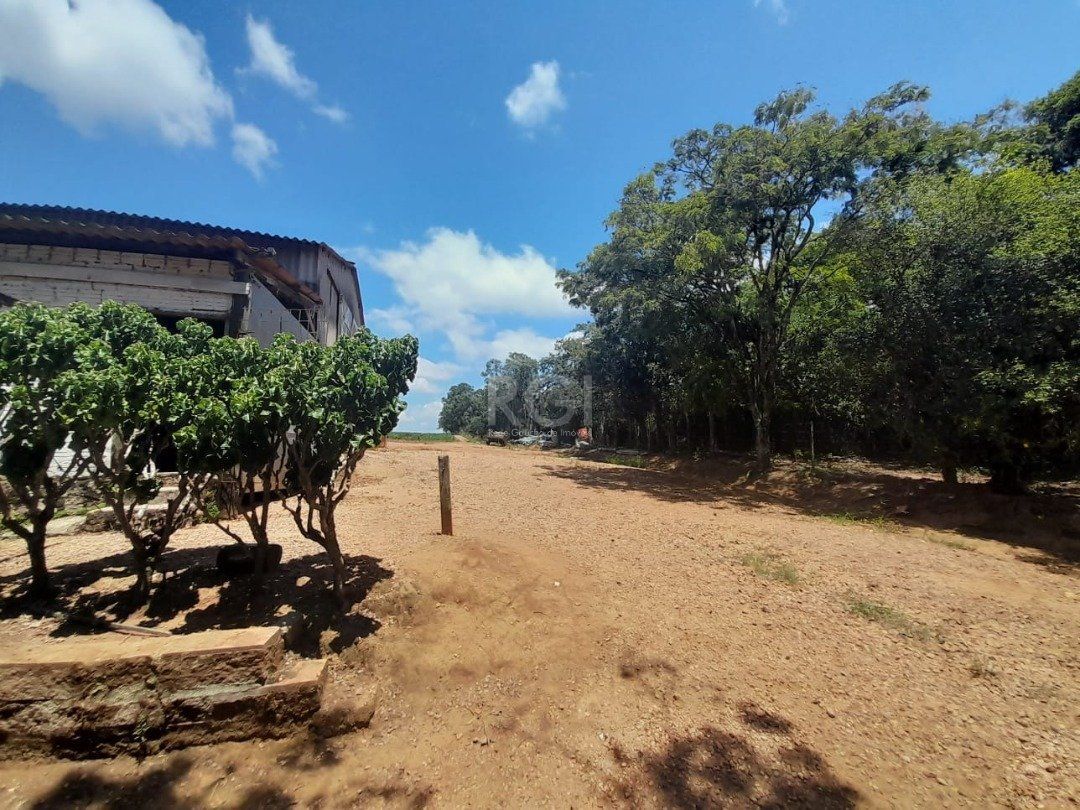 Terreno, 15 hectares - Foto 4