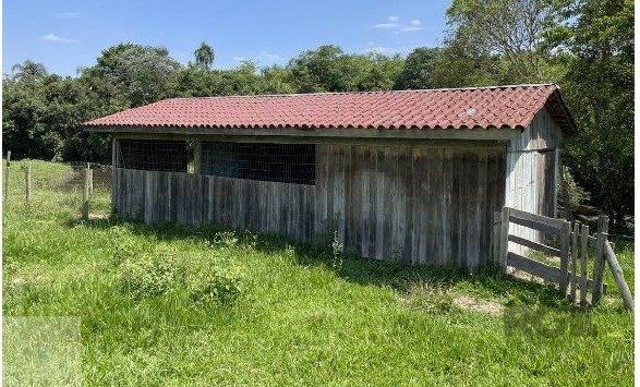 Terreno, 2 hectares - Foto 8