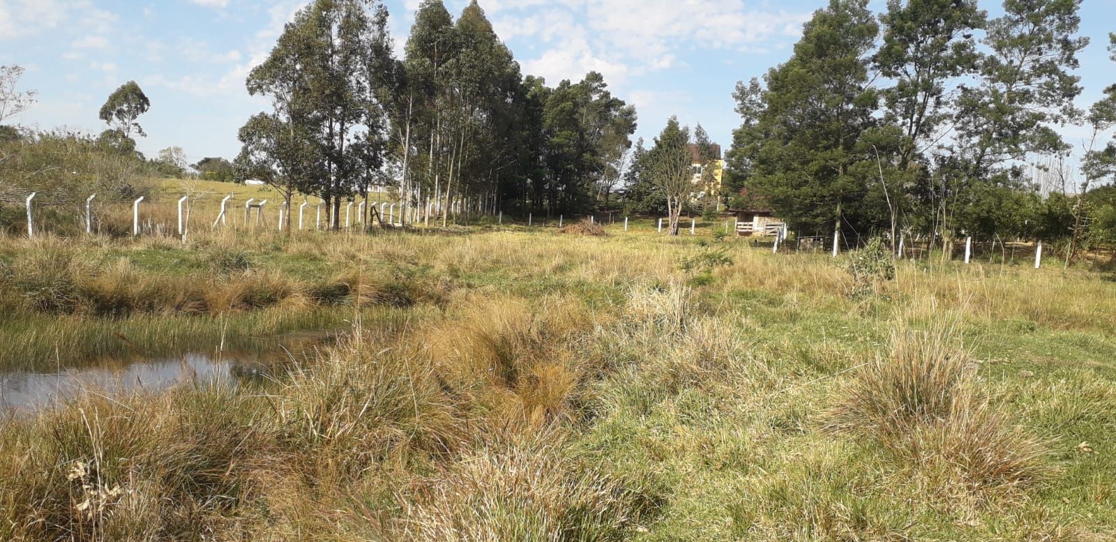 Casa, 4 quartos, 300 m² - Foto 37