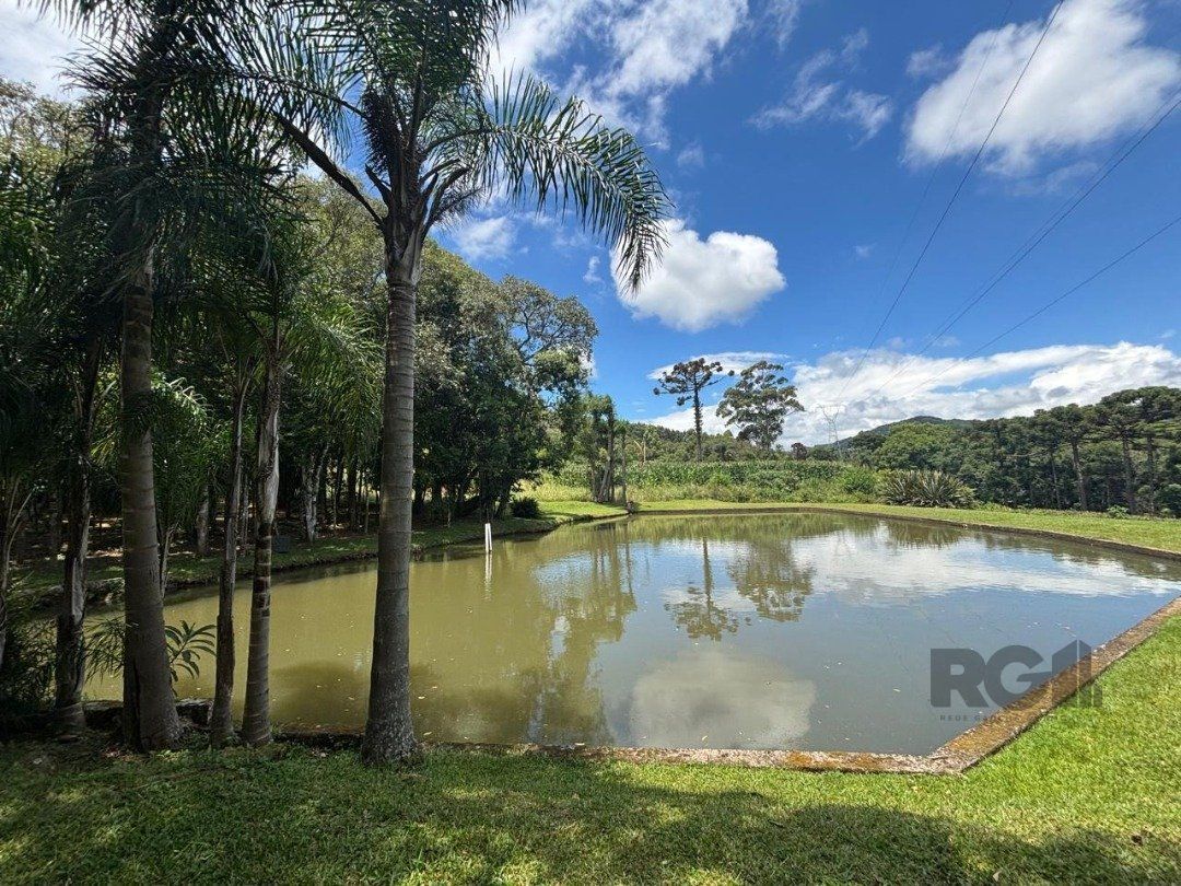 Chácara, 6 quartos, 5000 m² - Foto 9